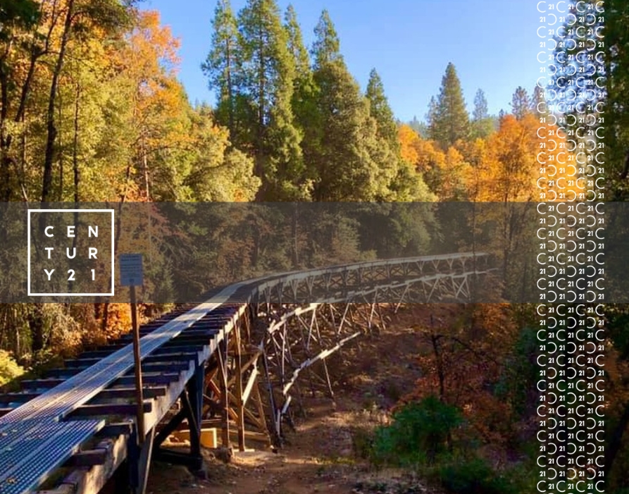 Wooden bridge surrounded by vibrant autumn foliage in a forest under a clear blue sky